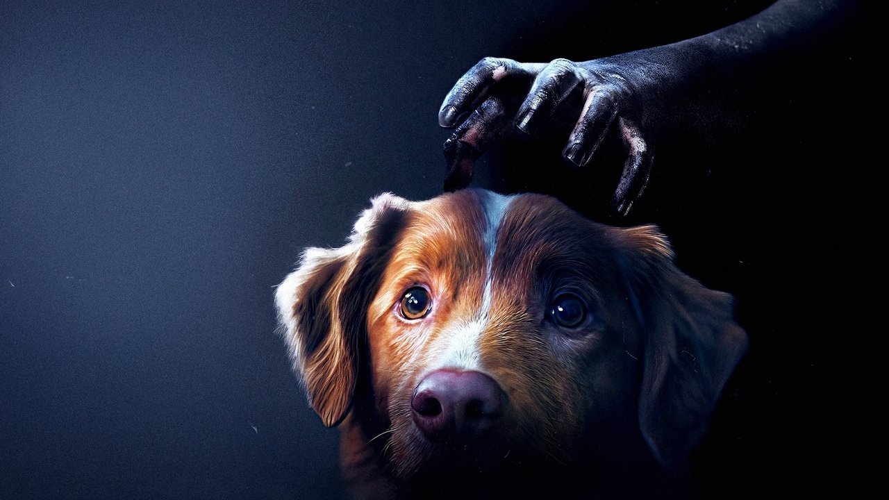 Good Boy Movie Screenshot 3 Good Boy Movie Screenshot 3